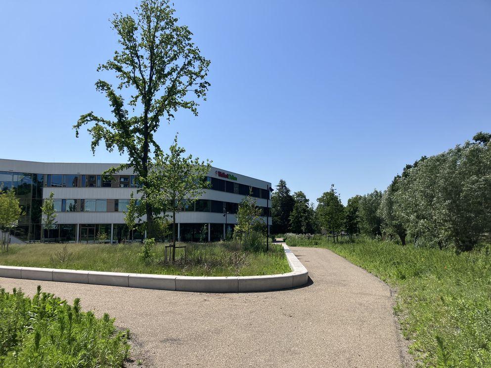 Buitenruimte Argonautenweg Rotterdam 5