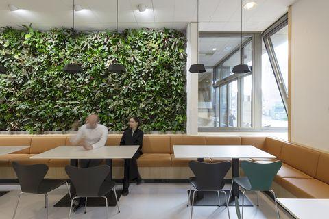 Renovatie Openbaar Ministerie Haarlem